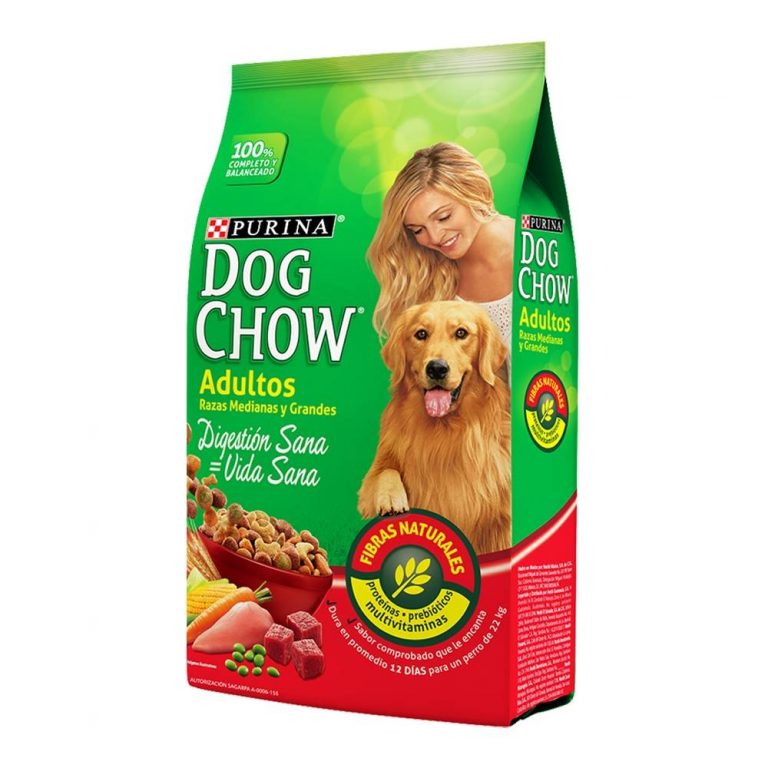 Croquetas Campeón Camonkiki